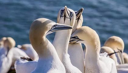 B sports_ EPL重要时刻：托特纳姆热刺力争前四，托特纳姆热刺首发