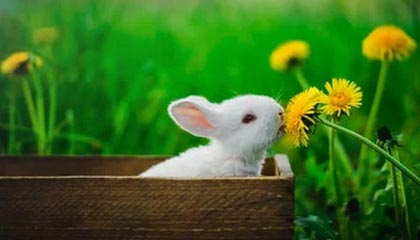 B sports_ 专访：健身达人分享成功的秘诀与动机，运动健身方式达人